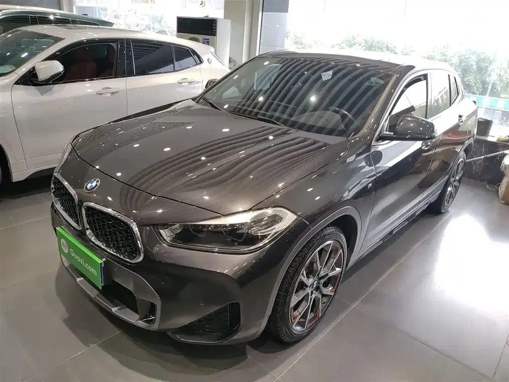 BMW X2 — фото 1