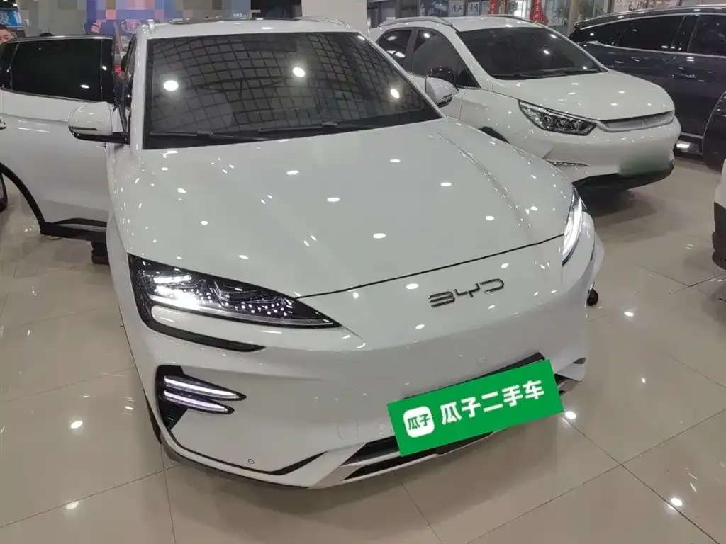 BYD PLUS New Energy — фото 4