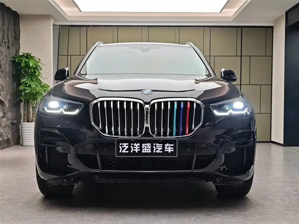 BMW X5 (Import) — фото 2