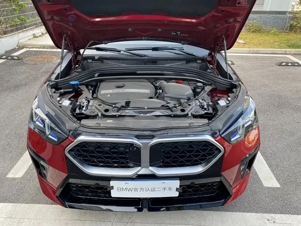 BMW X2 (Import) — фото 4