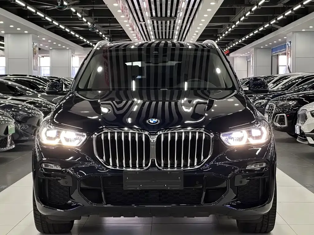 BMW X5 (Import) — фото 1