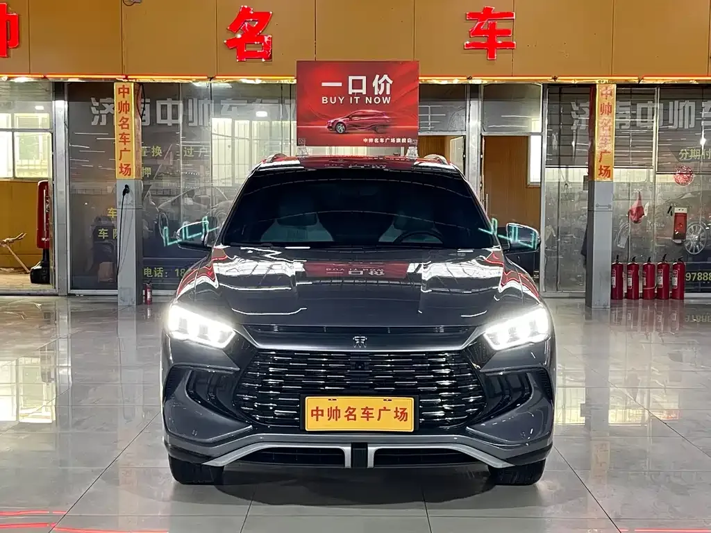BYD Pro New Energy — фото 2