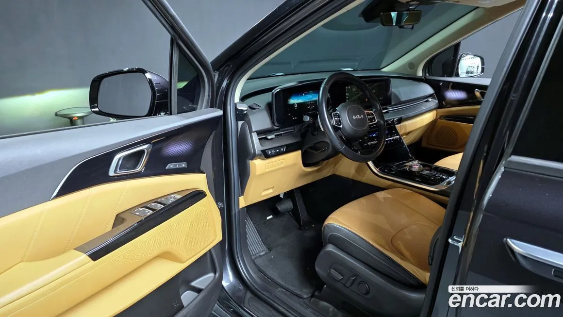 Kia Carnival — фото 10