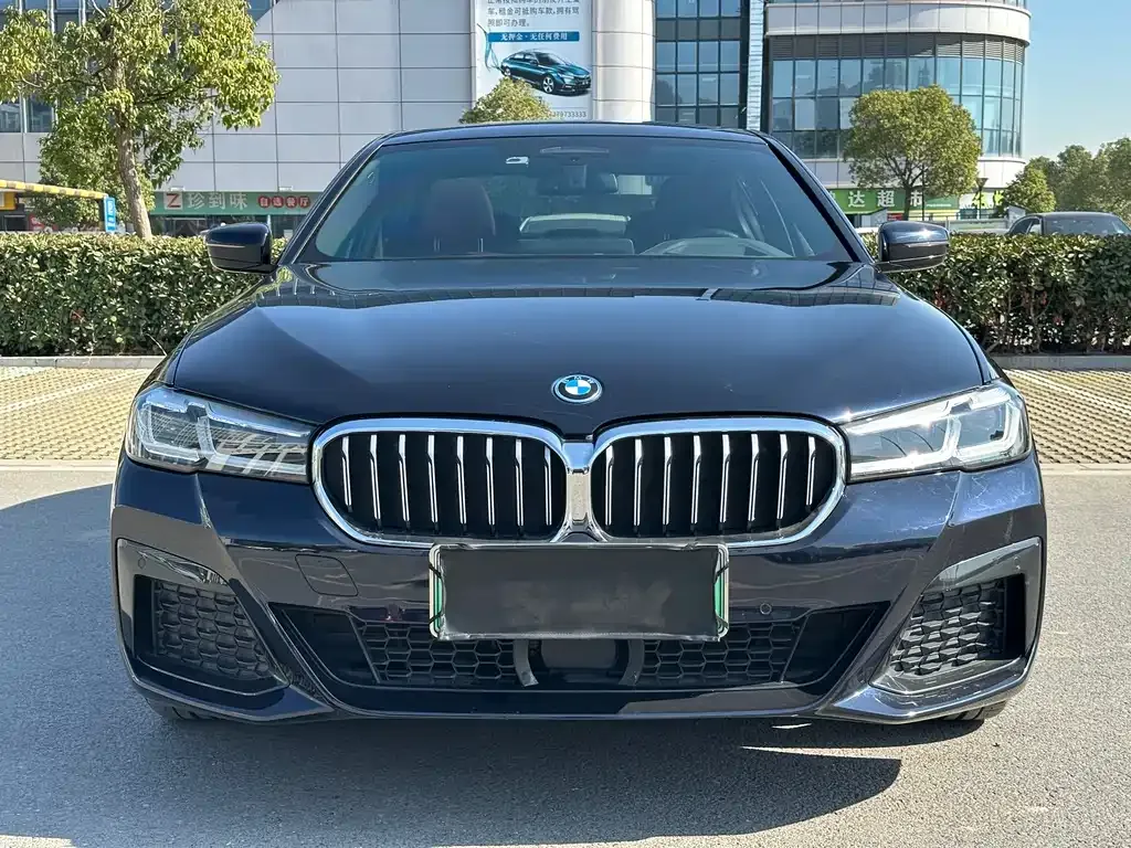 BMW 5 Series New Energy — фото 2