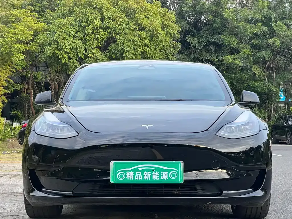 Tesla Model 3 — фото 2