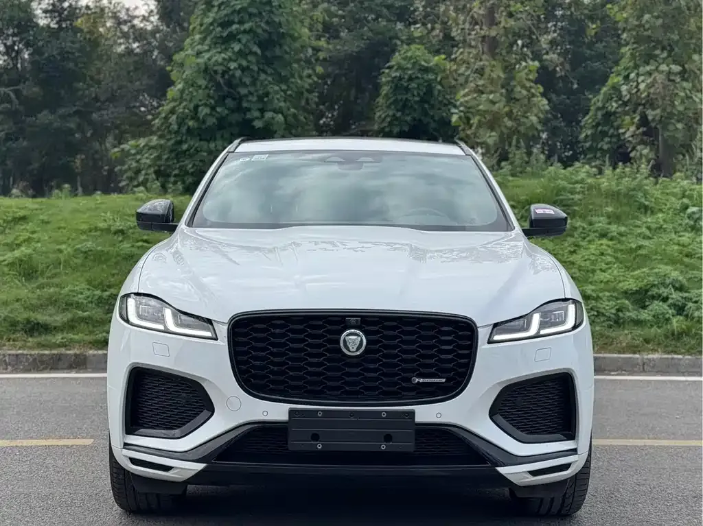 Jaguar F-PACE — фото 3