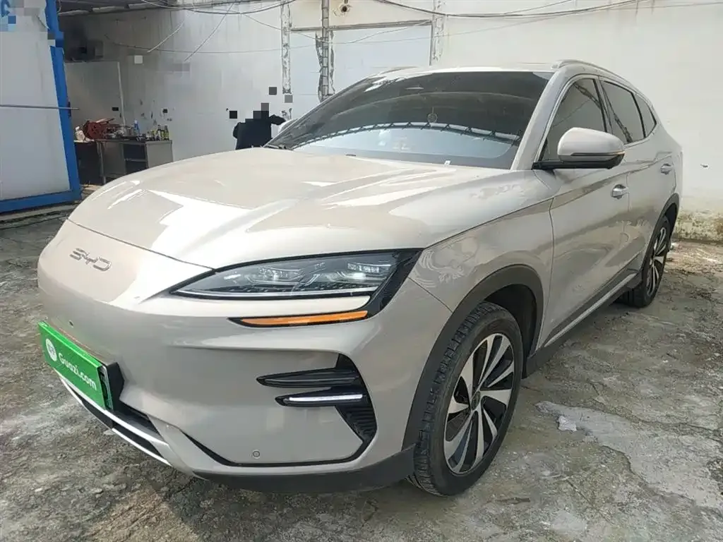 BYD PLUS New Energy — фото 2