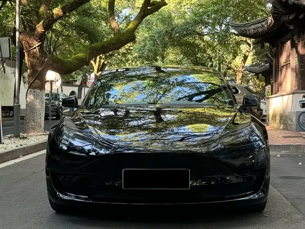 Tesla Model 3 — фото 2