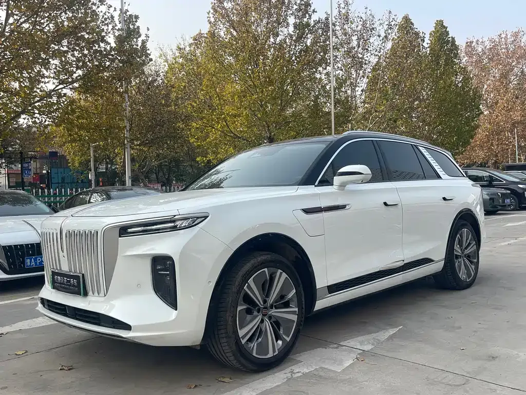 Hongqi E-HS9 — фото 1
