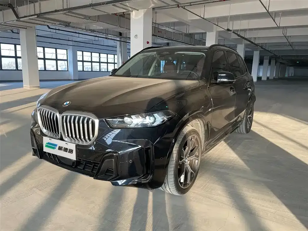BMW X5 — фото 1