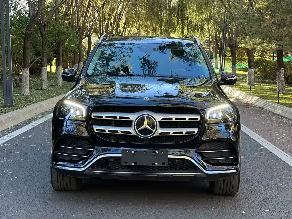Mercedes-Benz GLS — фото 5