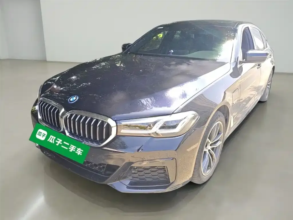 BMW 5 Series New Energy — фото 2