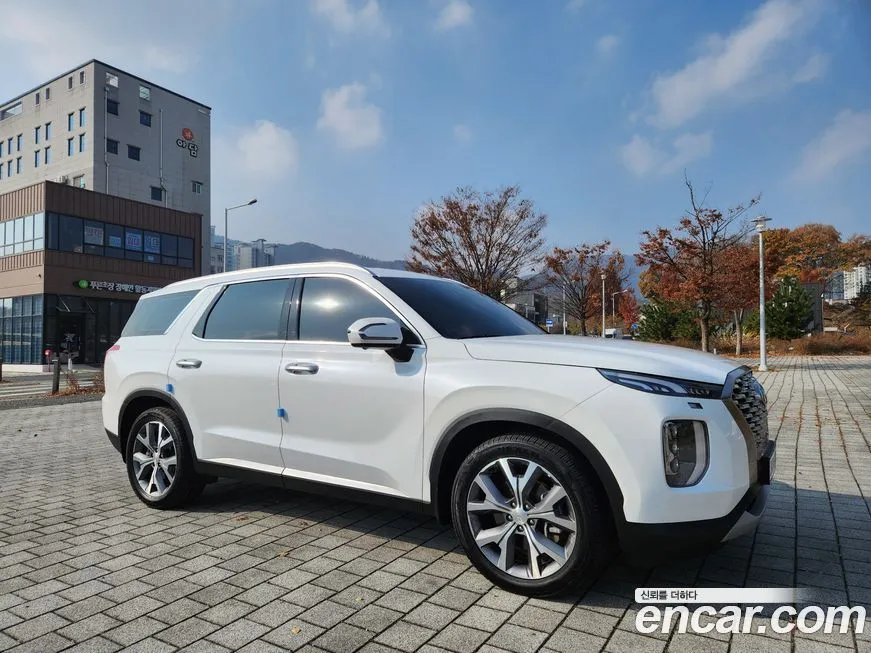 Hyundai Palisade — фото 6