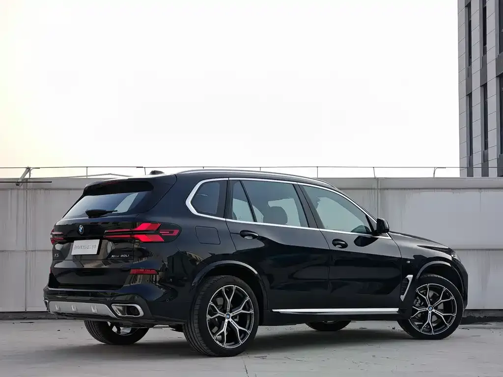 BMW X5 — фото 5