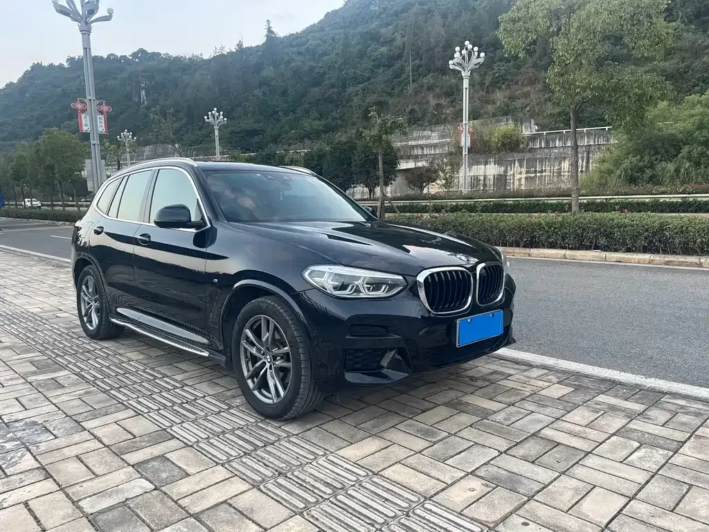 BMW X3 — фото 6