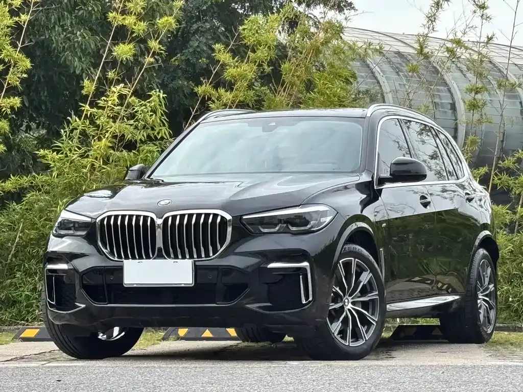 BMW X5 — фото 1