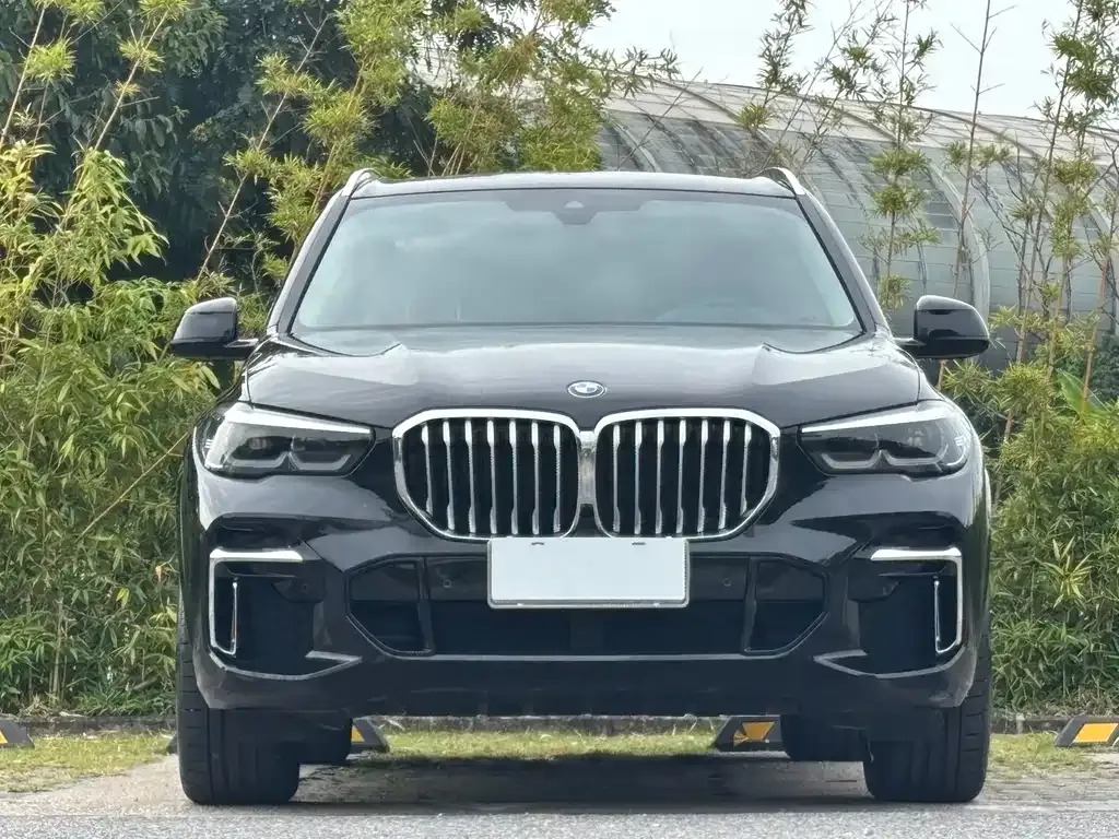 BMW X5 — фото 2
