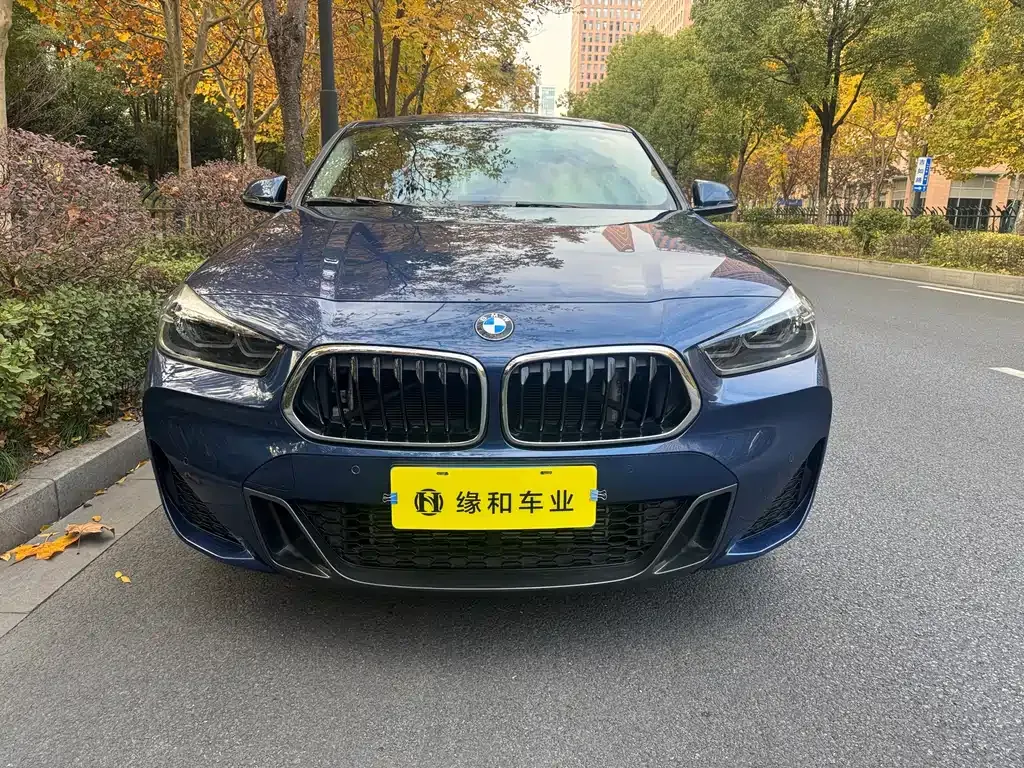 BMW X2 — фото 2