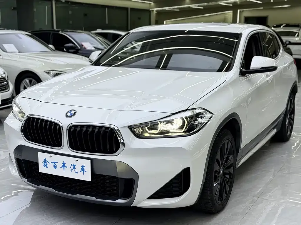 BMW X2 — фото 1