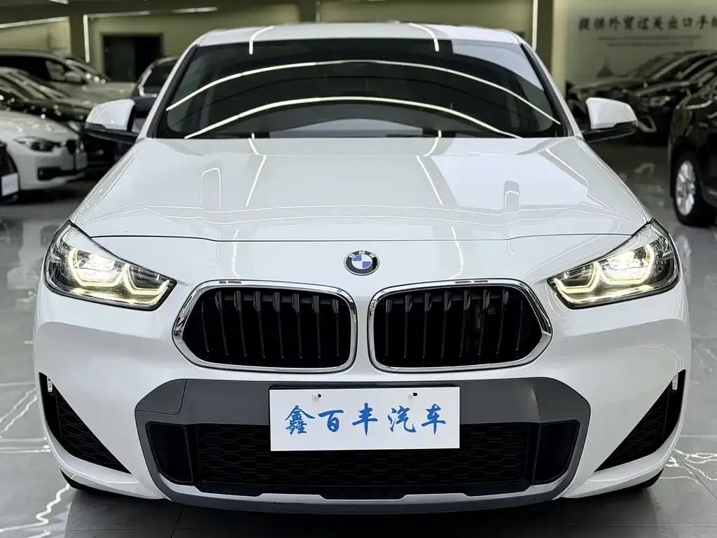 BMW X2 — фото 2