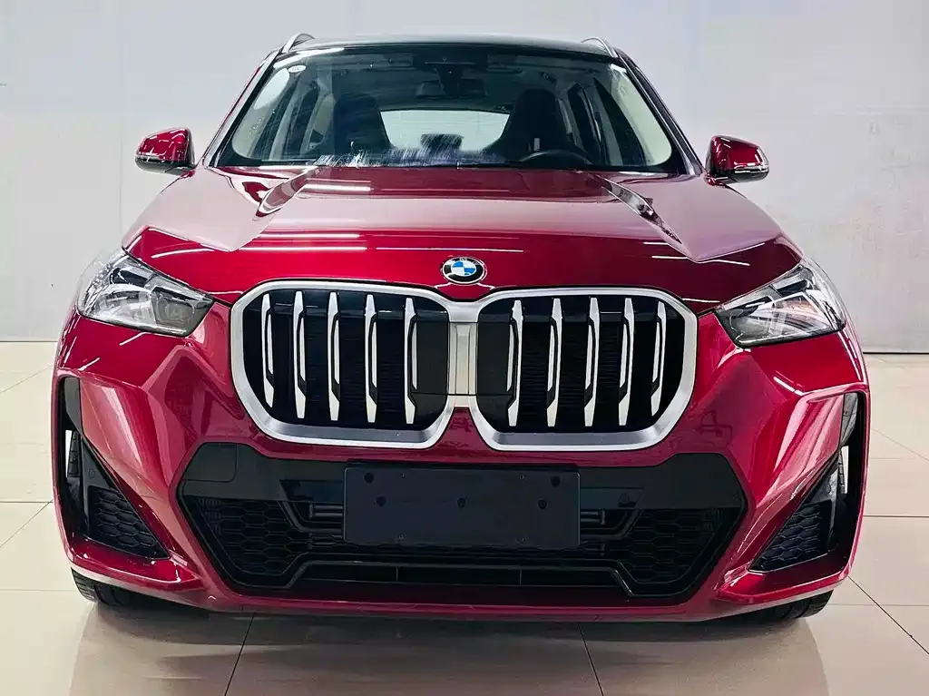 BMW X1 — фото 1