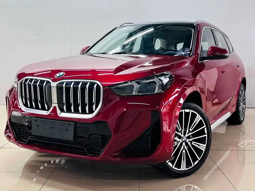 BMW X1 — фото 2
