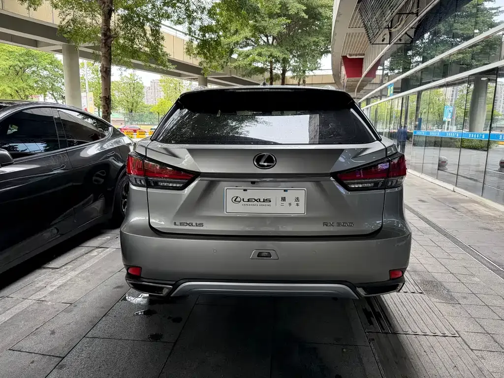 Lexus RX — фото 3