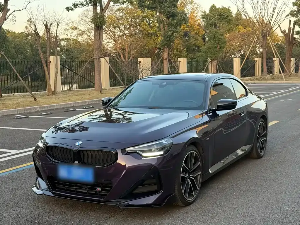 BMW 2 Series (Import) — фото 1