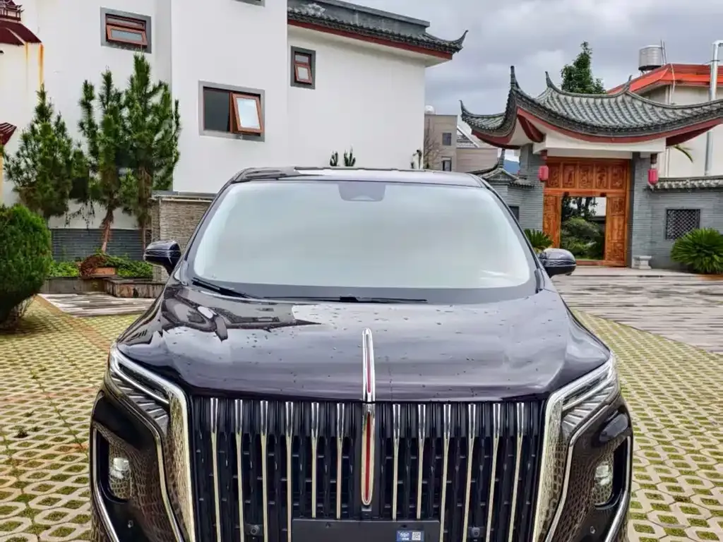 Hongqi HQ9 — фото 1
