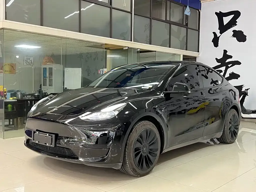 Tesla Model Y — фото 1