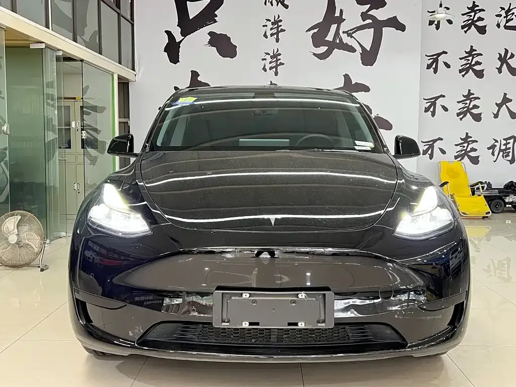 Tesla Model Y — фото 2