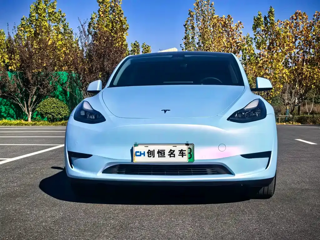 Tesla Model Y — фото 2