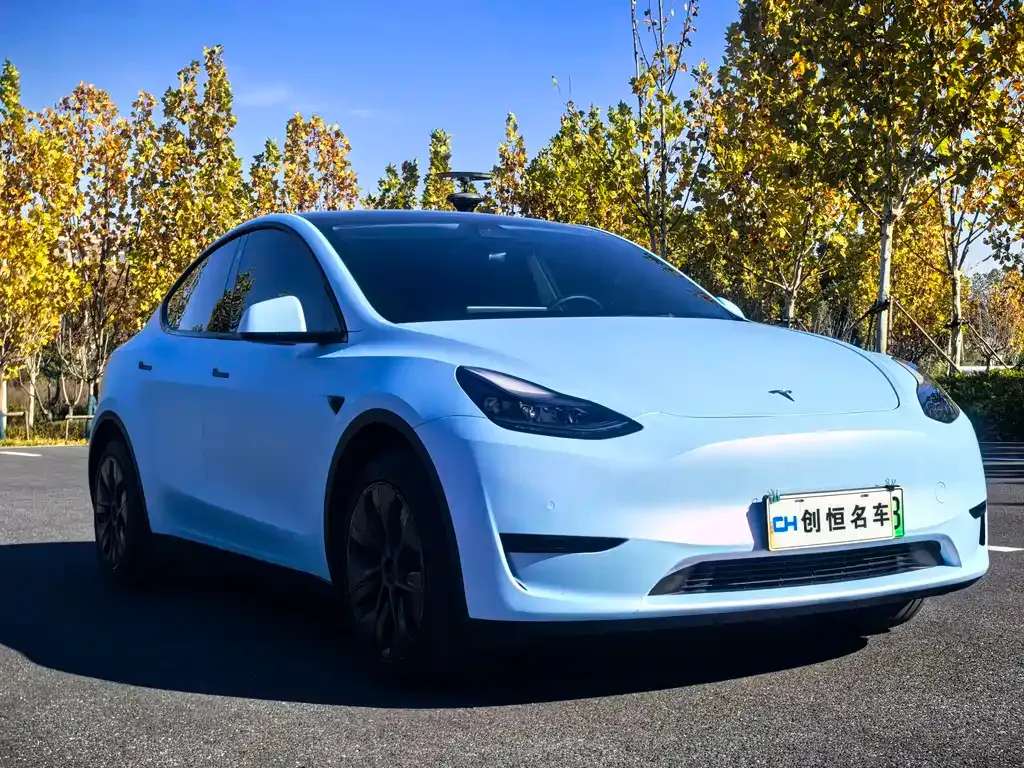 Tesla Model Y — фото 3