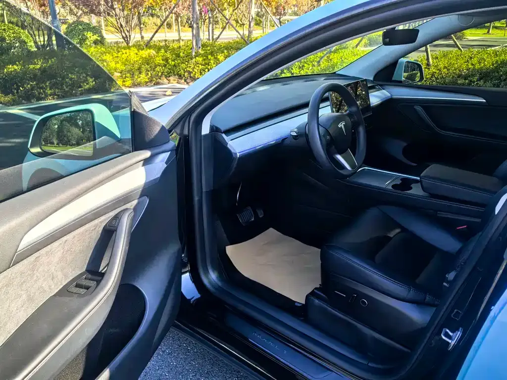 Tesla Model Y — фото 4