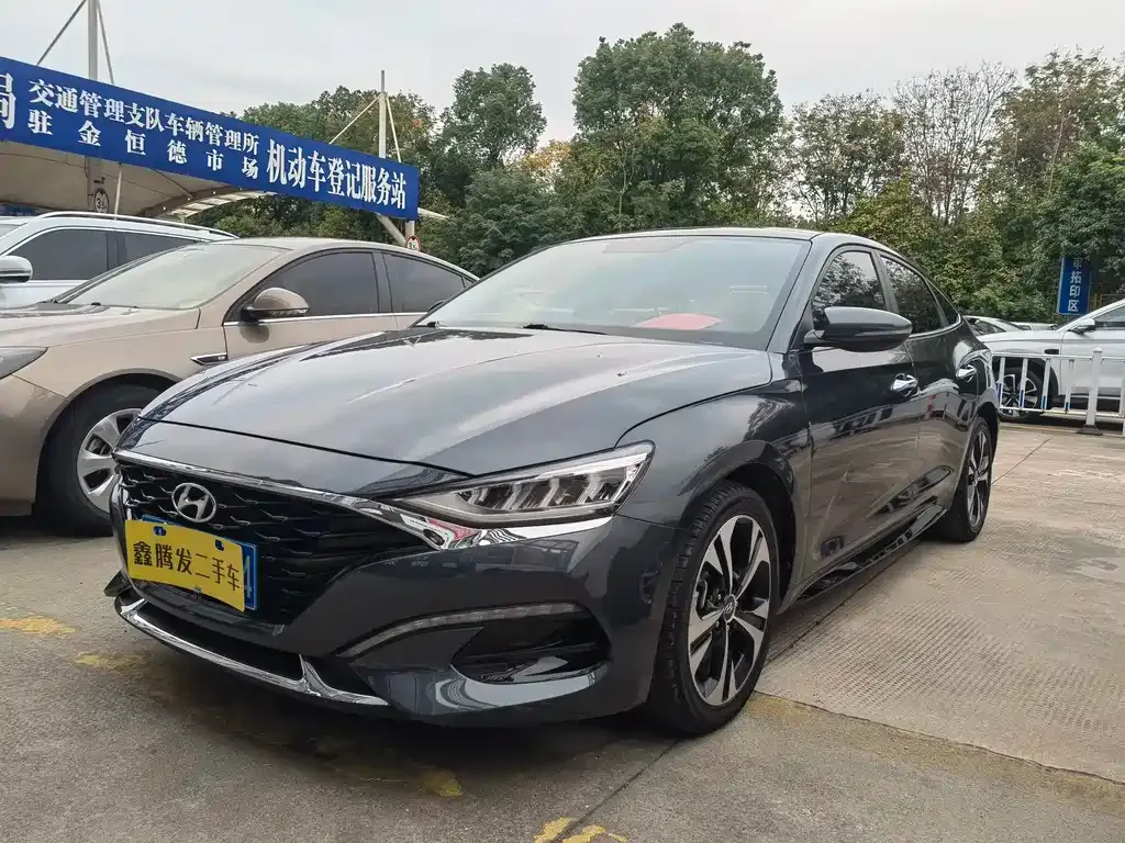 Hyundai Fista — фото 1