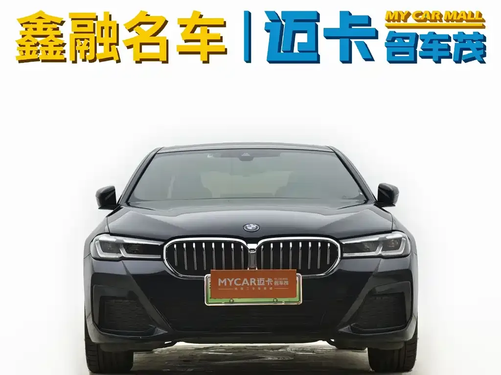 BMW 5 Series New Energy — фото 3