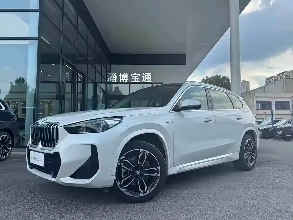 BMW X1 — фото 2