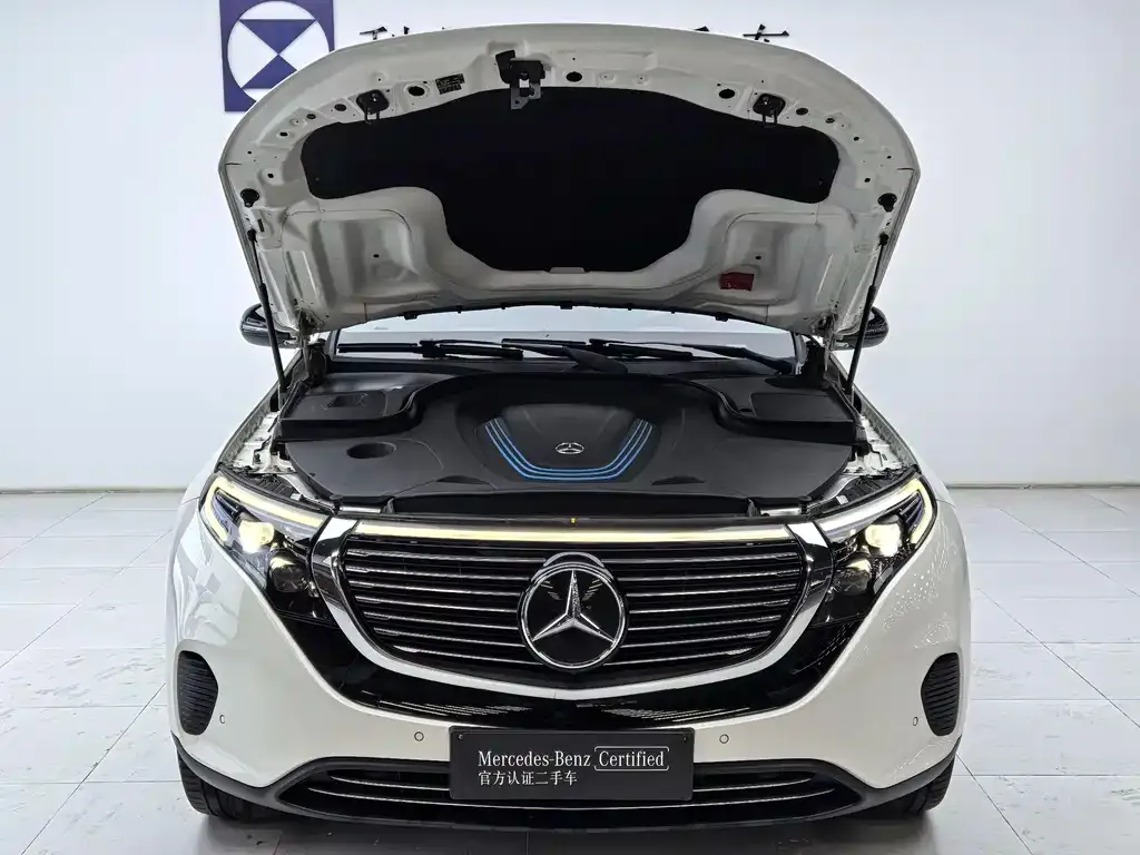 Mercedes-Benz EQC — фото 10