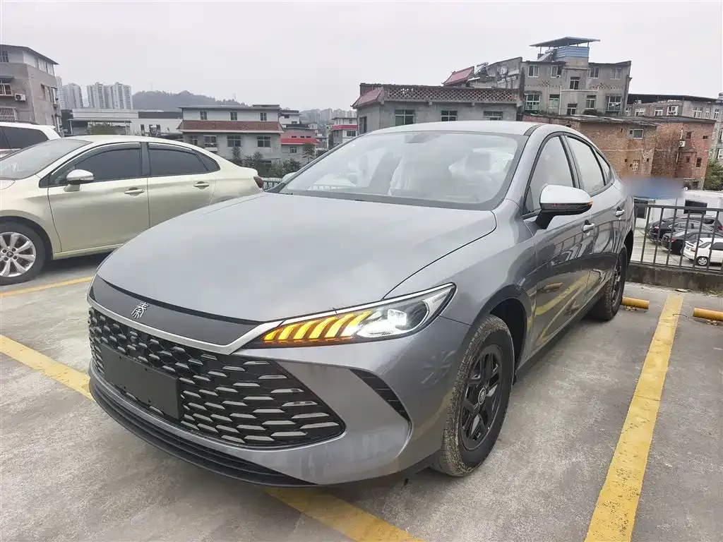 BYD Qin PLUS — фото 1