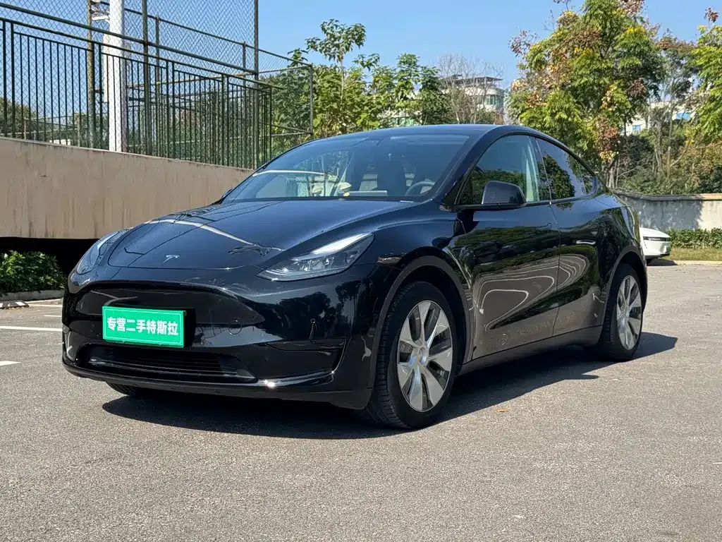 Tesla Model Y — фото 1