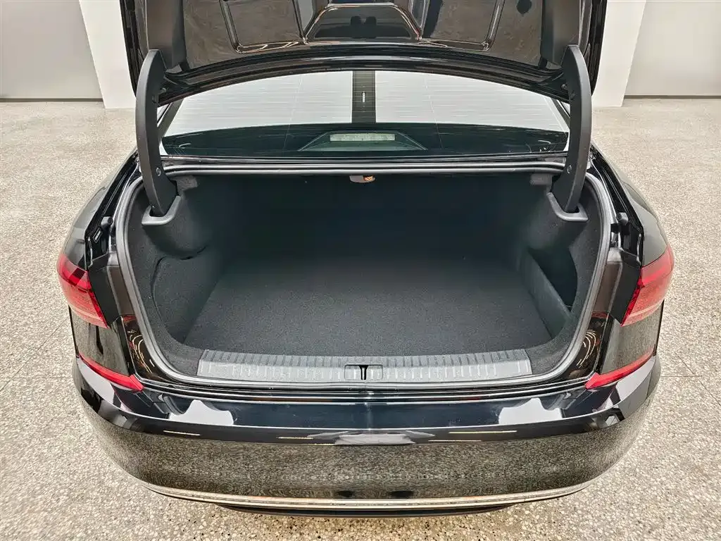 Volkswagen Passat New Energy — фото 6