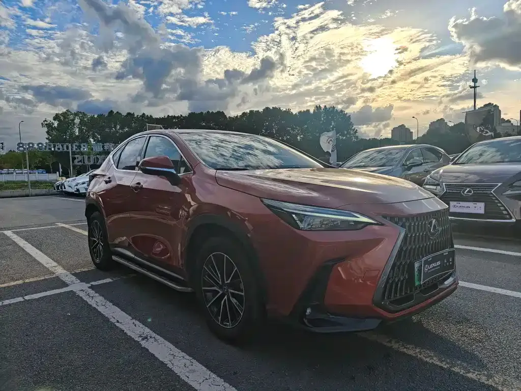 Lexus NX New Energy — фото 2