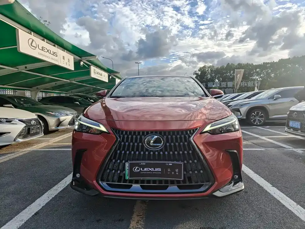 Lexus NX New Energy — фото 3