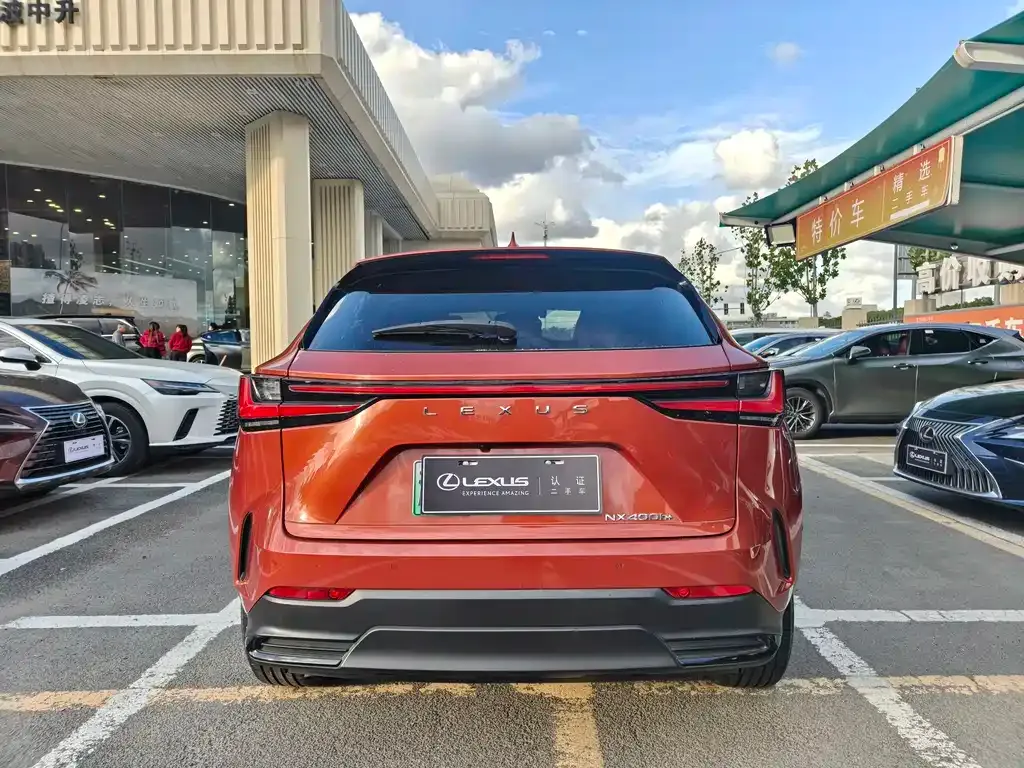 Lexus NX New Energy — фото 7