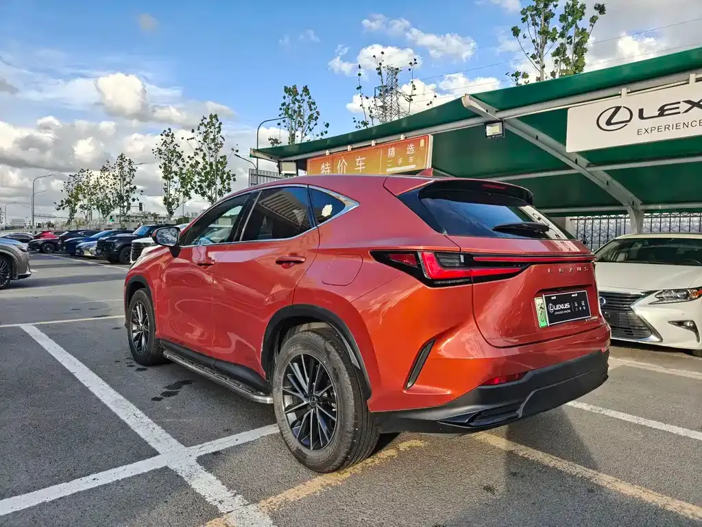 Lexus NX New Energy — фото 8