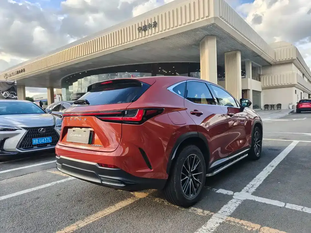 Lexus NX New Energy — фото 9
