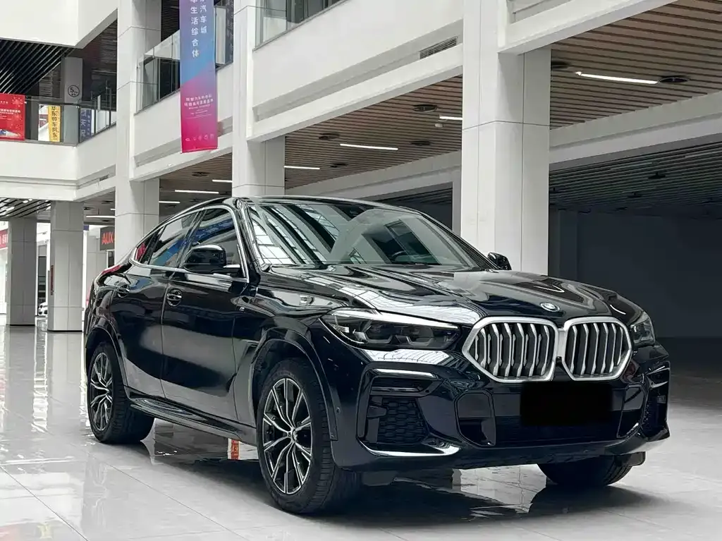 BMW X6 — фото 3