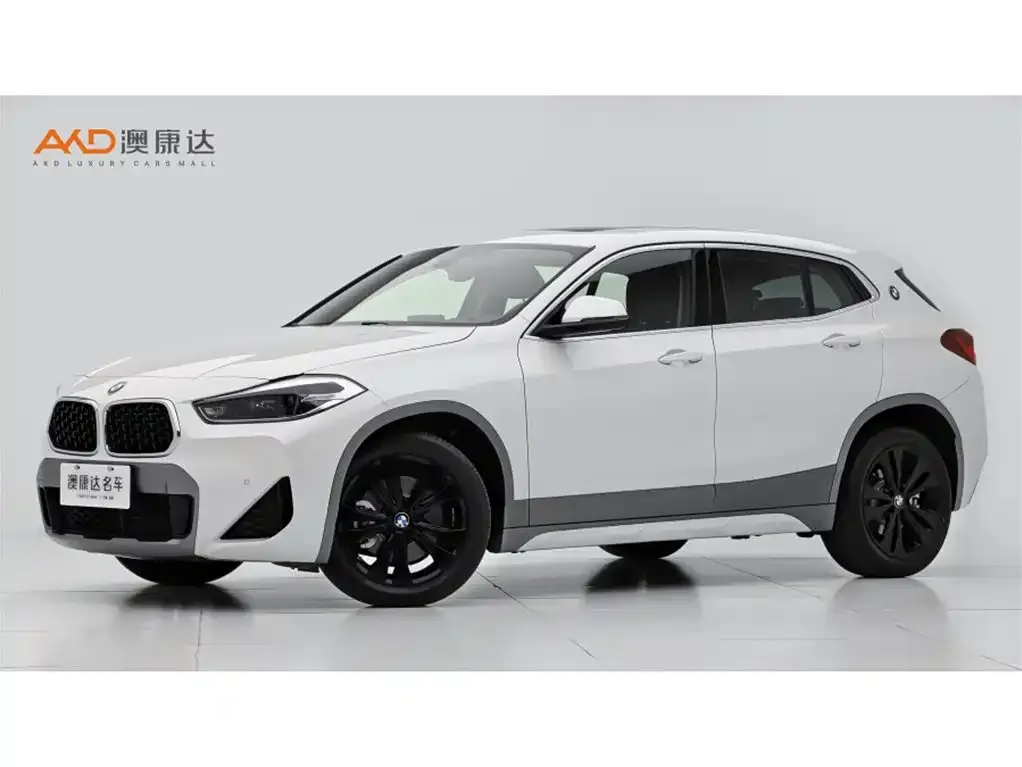 BMW X2 — фото 1