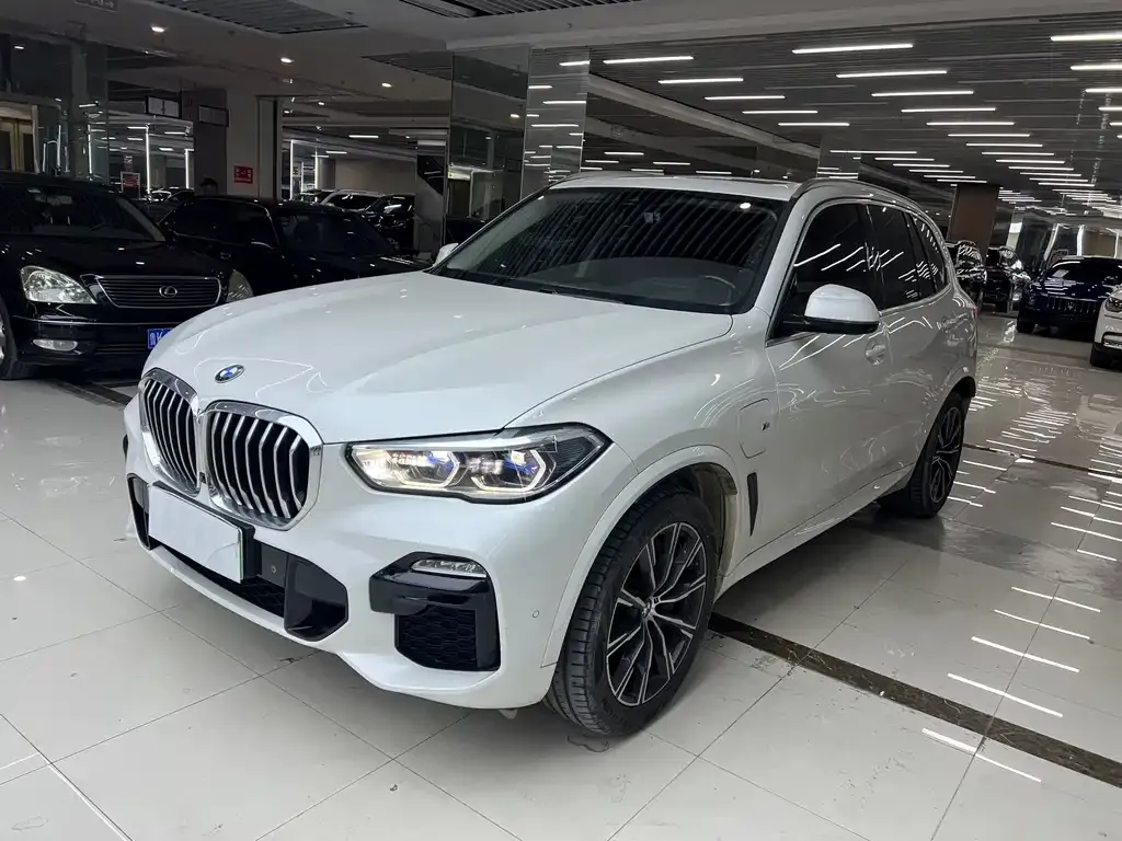 BMW X5 New Energy (Import) — фото 1