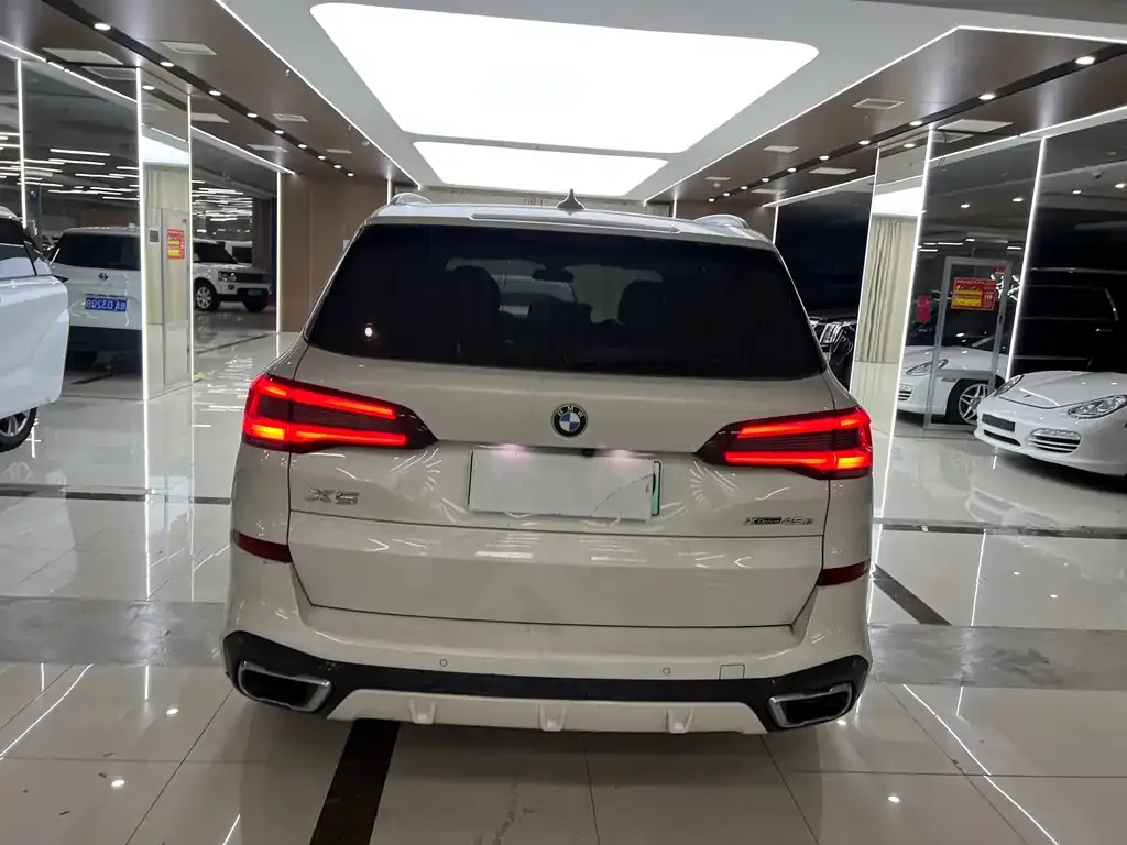 BMW X5 New Energy (Import) — фото 10